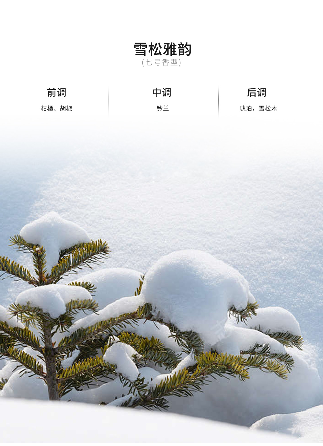 风云T11 香氛瓶 详情图 6